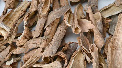 Top view herb DiGuPi or Lycii Cortex or Chinese Wolfberry Root - bark rotatin Stock Footage 159704638
