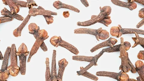 Top view herb DingXiang or Caryophylli Flos or Clove rotating Stock Footage 185397993