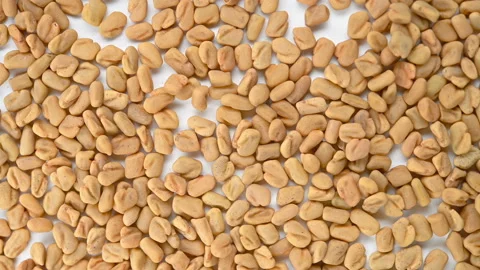 Top view herb  HuLuBa or Trigonellae Semen or Common Fenugreek Seed rotating Stock Footage 149691211