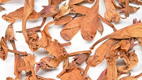 Top view herb LingXiaoHua or Campsis Flos or Chinese Trumpetcreeper rotating Stock Footage 148095463