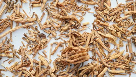 Top view herb LongDan or Gentianae Radix et Rhizoma or Chinese Gentian Root r Stock Footage 165861431