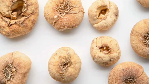 Top view herb PingBeiMu or Fritillariae Ussuriensis Bulbus or Ussuri Fritilla Stock Footage 149279882