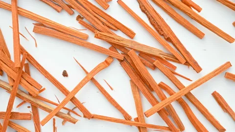 Top view herb SuMu or Sappan Lignum or Sappan Wood rotating Stock Footage 165860834