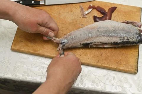 Top view of herring cleaning procedure in domestic kitchen. Stock Photos