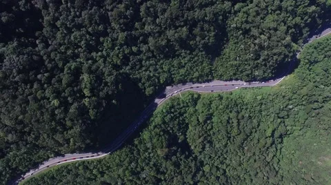 Top View of Highway in a Forest Stock Footage 67246796