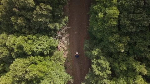 Top View Hiker On Forest Trail - Sardinia - Italy Stock Footage 341121973