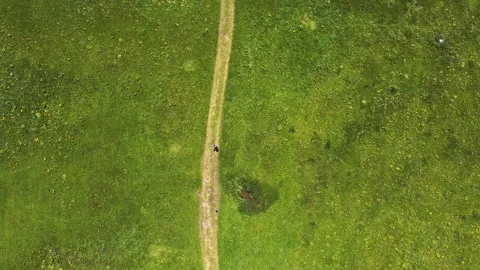 Top view hikers along a path in nature Stock Footage 142938308