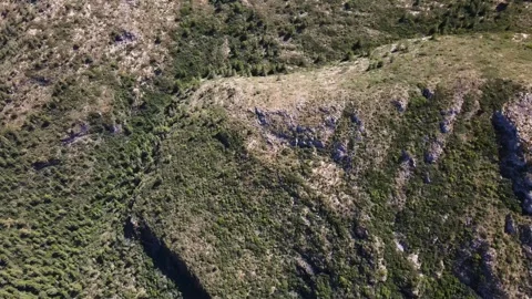 Top view of a hill with grass and bushes Stock Footage 241517551