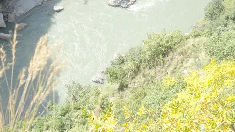 TOP VIEW OF HIMALAYAN RIVER and Yellow Green Foliage Stock Footage 100228454