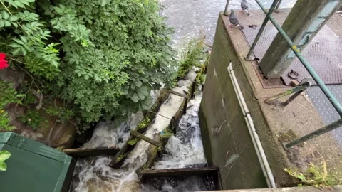 Top View of Historic Canal Lock Gates in European Town Stock Footage 340443314