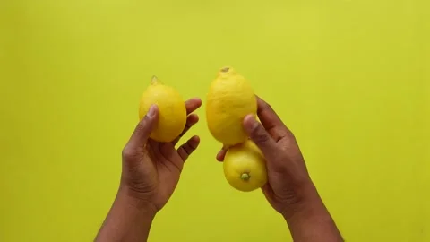 Top view of holding Yellow Lemon Stock Footage 263732360