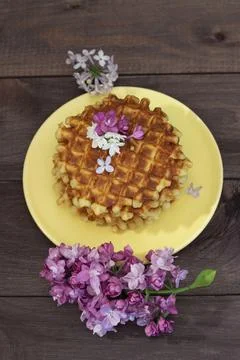 Top view homemade round waffle, spring seringa flower, cute postcard photo Stock Photos