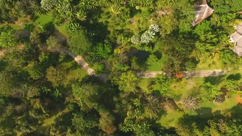 Top view house in the forest Stock Footage 139851982