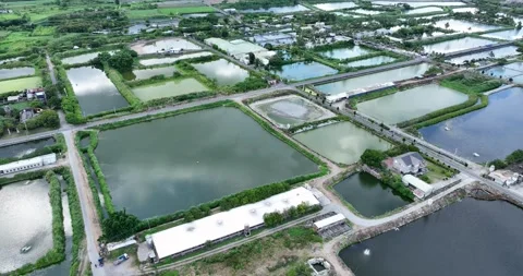 Top view of Hualien countryside in Taiwan Stock Footage 265998385