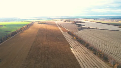 Top view of a huge soybean field and harvesters Vídeo Stock 166412284