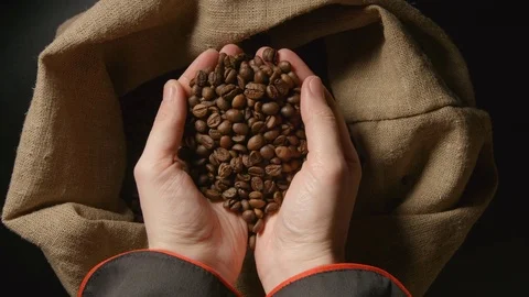 TOP VIEW: Human takes a roasted coffee beans from a sac by both hands Stock Footage 72859796
