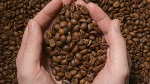 TOP VIEW: Human takes a roasted coffee beans by both hands Stock Footage 72859833