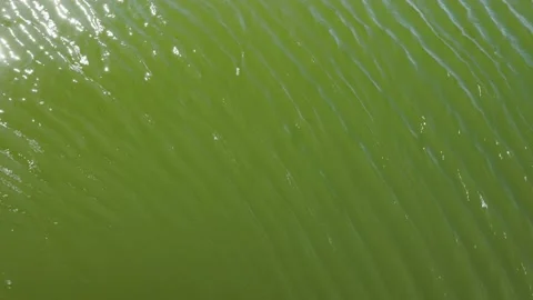 Top view of hypnotic moving water Video stock 152508017