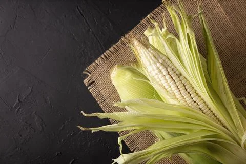 Top View Image of raw white corn on the cob on black rustic surface. copy spa Stock Photos
