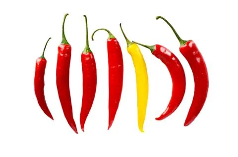 Top view individuality in line composition chilli peppers isolated on white b Stock Photos