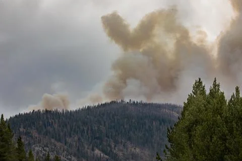 Top view of an invincible forest fire Stock Photos