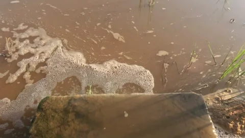 Top view of irrigation channel flow to rice fields Stock Footage 323148944