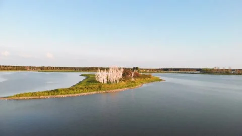 Top view of the island with dried forest Video stock 201744858