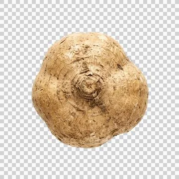 Top view of jicama root vegetable isolated on transparent background for re.. Stock-Fotos