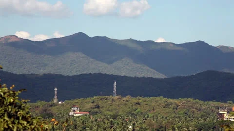 Top view on the jungle forest Stock Footage 26181979