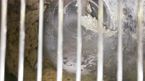 Top view of kneading machine Stock Footage 155523296