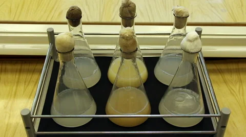 Top view of laboratory shaker activation Stock Footage 53543335