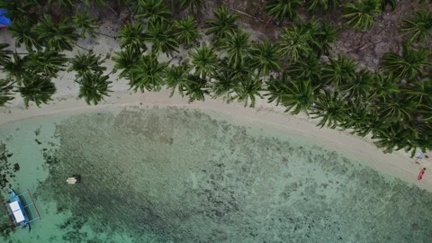Top view of lagoon with beach and palm trees, Philippines, Palawan Stock Footage 271630741