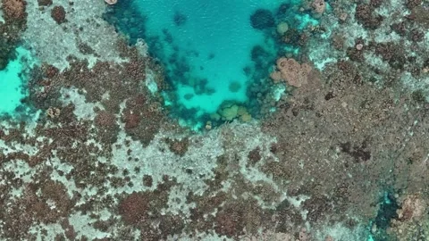 Top view lagoon coral reef turquoise water Guam 库存影片 315328175