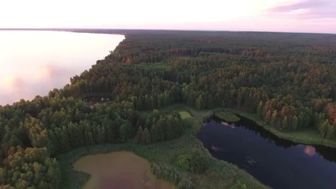 Top view of lakes and rivers in the forest Stock Footage 78627534