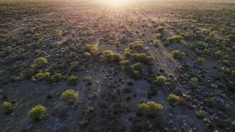 Top View of the Landscape Stock Footage 295027792