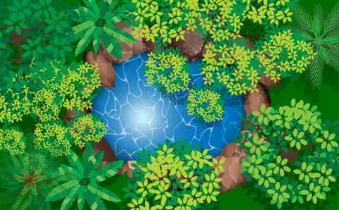 Top view landscape of the pond in the forest Stock Illustration