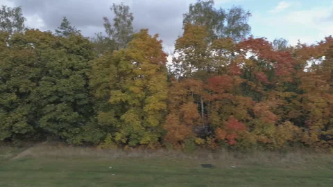 Top view landscape with trees that are covered with autumn foliage. Stock Footage 107530666