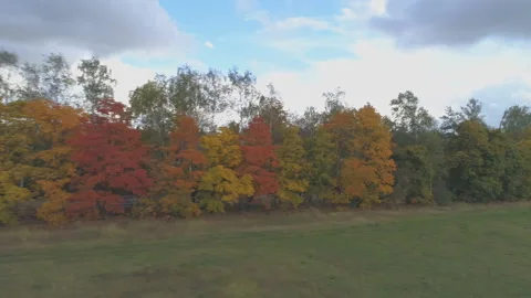 Top view landscape with trees that are covered with autumn foliage. Stock Footage 107530781