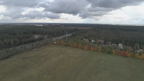 Top view landscape with trees that are covered with autumn foliage. Stock Footage 107531544