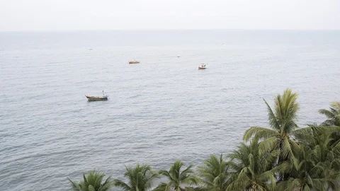 Top View with landscape views and fishing boat and lines of coconut tree Stock Footage 128674214