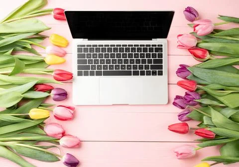 Top view of laptop computer decorated with tulip flowers on pink wooden backg Foto stock