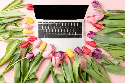 Top view of laptop computer decorated with tulip flowers on pink wooden backg Foto stock