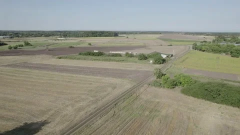 Top view of large fields with agricultural crops Stock Footage 219688242