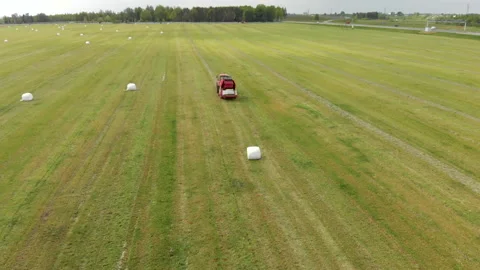 Top view of a large green field with white bales, where a machine for harvesting 库存影片 136323799