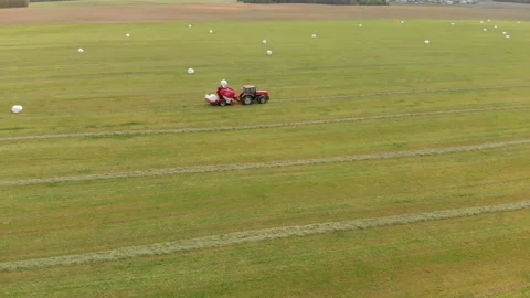 Top view of a large green field with white bales, where a machine for harvesting Vidéo 136340732
