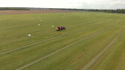 Top view of a large green field with white bales, where a machine for harvesting 動画素材 137223090