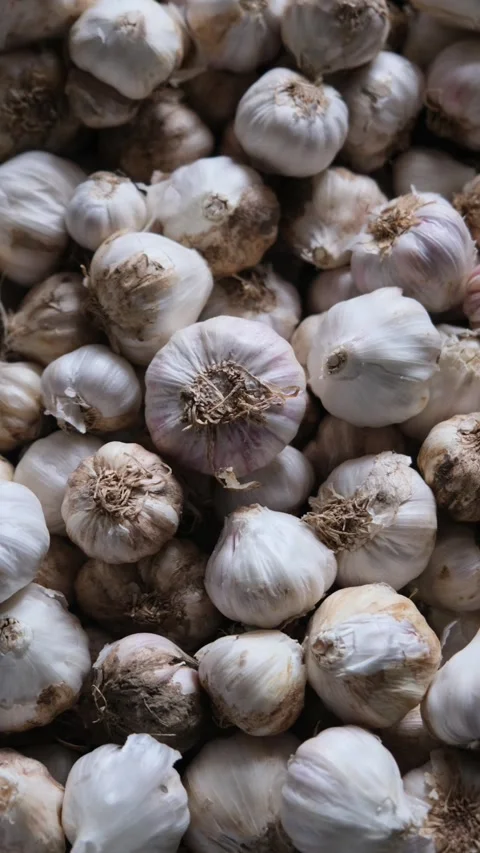 Top view of a large pile of fresh garlic bulbs Видео 331450026