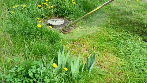 Top view  lawn mower mowing spring grass with flowers.Garden work concept. Lands Stock Footage 192473815
