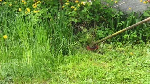 Top view  lawn mower mowing spring grass with flowers.Garden work concept. Lands Stock Footage 192474186
