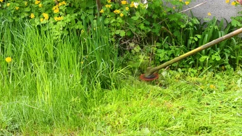 Top view  lawn mower mowing spring grass with flowers.Garden work concept. Lands Stock Footage 194473633